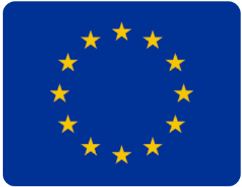 EU Icon